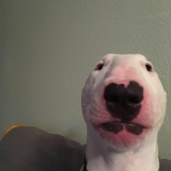 c0ff1nc4nd7